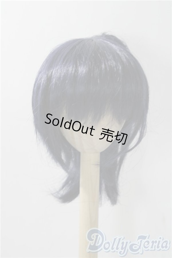 画像1: 8-9inch/ウィッグ A-25-11-12-1090-TN-ZU (1)