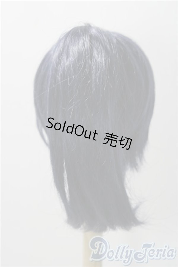 画像2: 8-9inch/ウィッグ A-25-11-12-1090-TN-ZU (2)