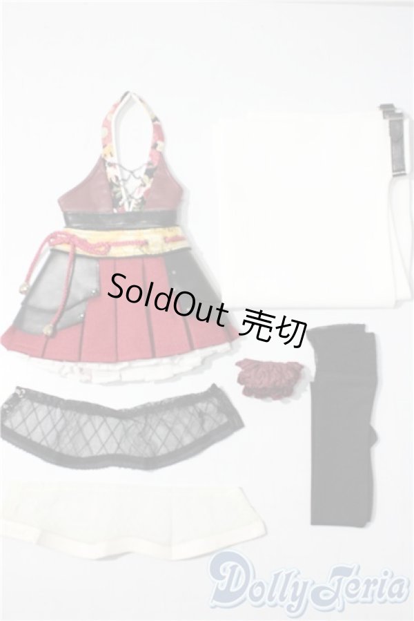 画像1: SD13G/OF:朱雀の衣　VOLKS U-25-11-12-119-TN-ZU (1)