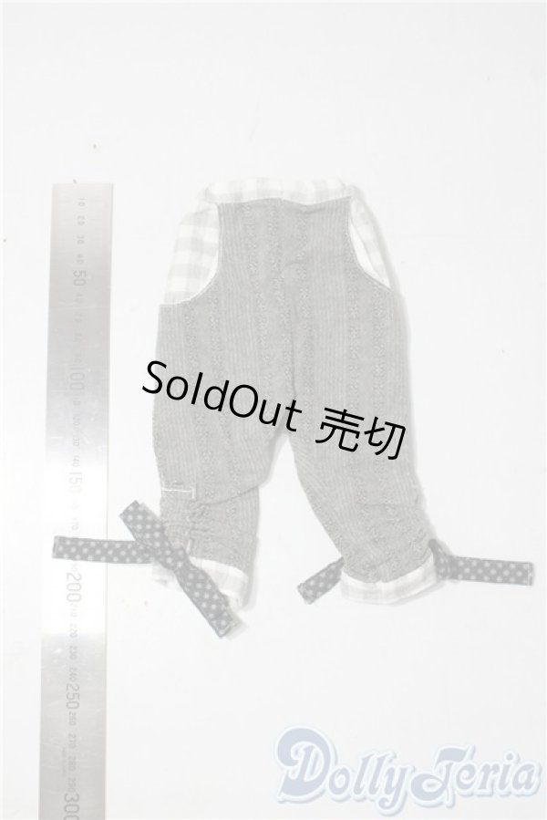 画像2: SDM＆MSD/OF:パンツ U-25-11-12-179-TN-ZU (2)