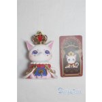 画像: ブラインドトイ/その他/ A-25-11-19-1190-TN-ZU