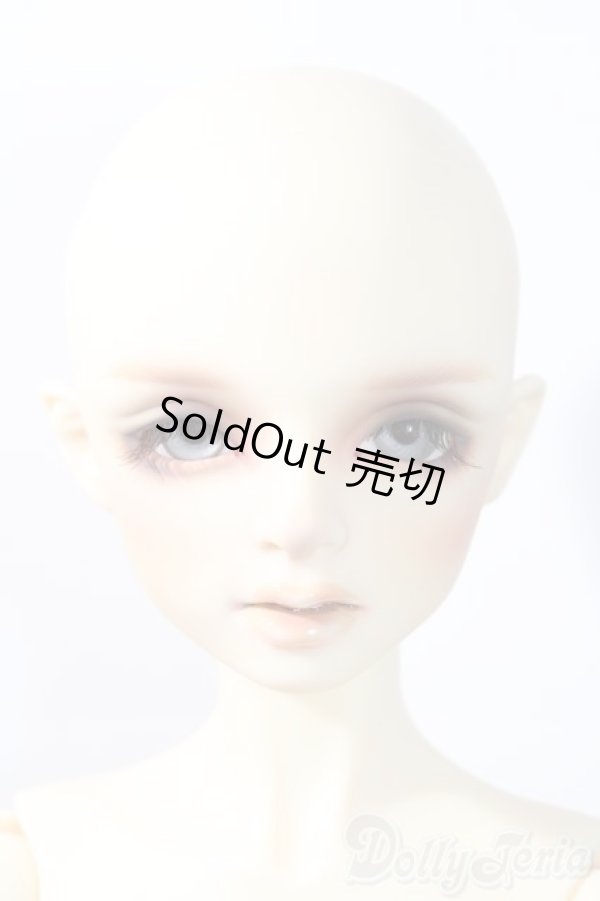 画像3: SD/ミシェル星間学寮ver. U-25-11-19-220-TN-ZU (3)