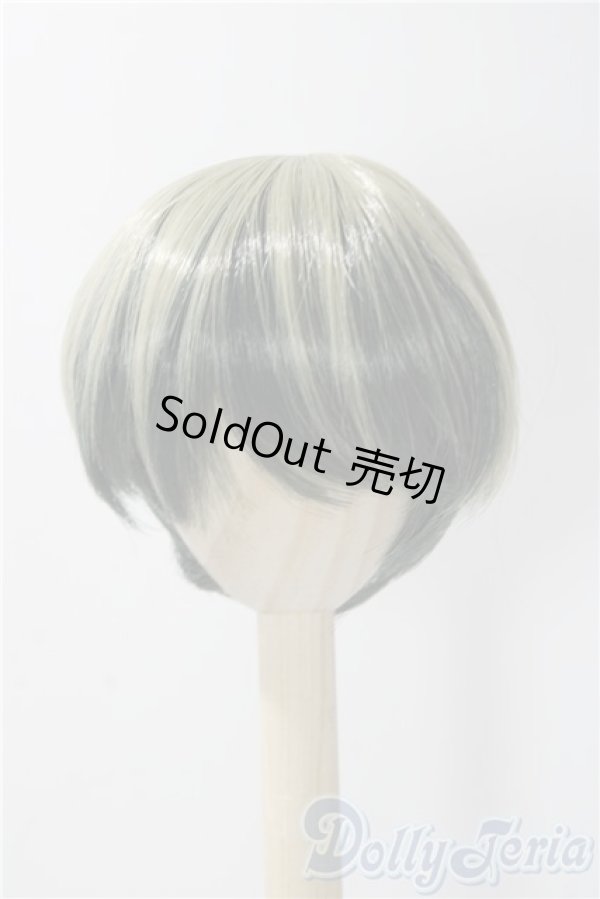 画像1: 8-9inch/ウィッグ U-25-11-19-035-TN-ZU (1)