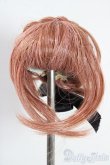 画像1: 4inch/ウィッグ A-25-11-19-1023-TN-ZU (1)
