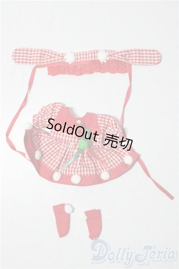 画像1: RosenLied/OF:Mondaysサイズ 衣装セット A-25-11-26-1090-TN-ZU (1)