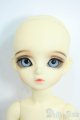 画像: BJD CROBI/Boni Y-25-11-19-085-TN-ZY