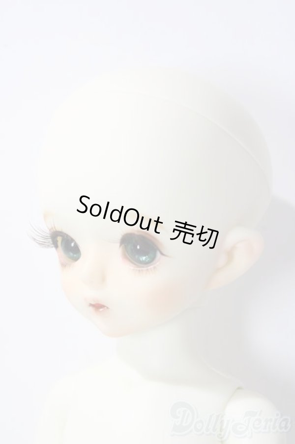 画像2: the gem/Opel & Lier - The Recluses A-25-11-19-1087-TN-ZU (2)