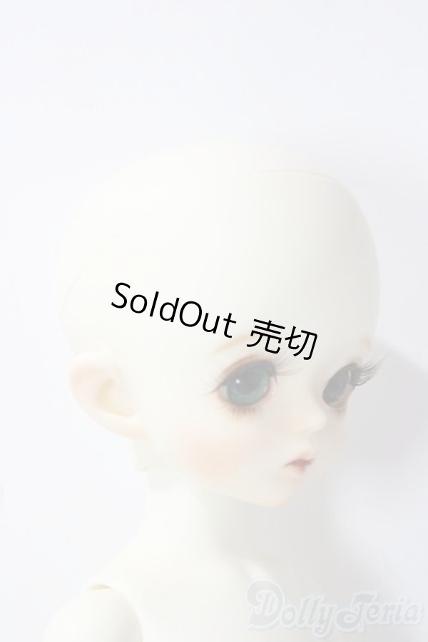 画像3: the gem/Opel & Lier - The Recluses A-25-11-19-1087-TN-ZU (3)