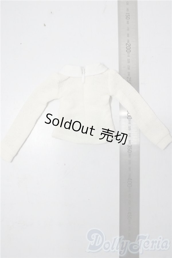 画像2: SDM＆MSD/OF:衣装セット U-25-11-19-075-TN-ZU (2)