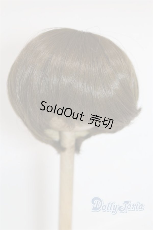 画像1: 8-9inch/ウィッグ U-25-11-19-231-TN-ZU (1)