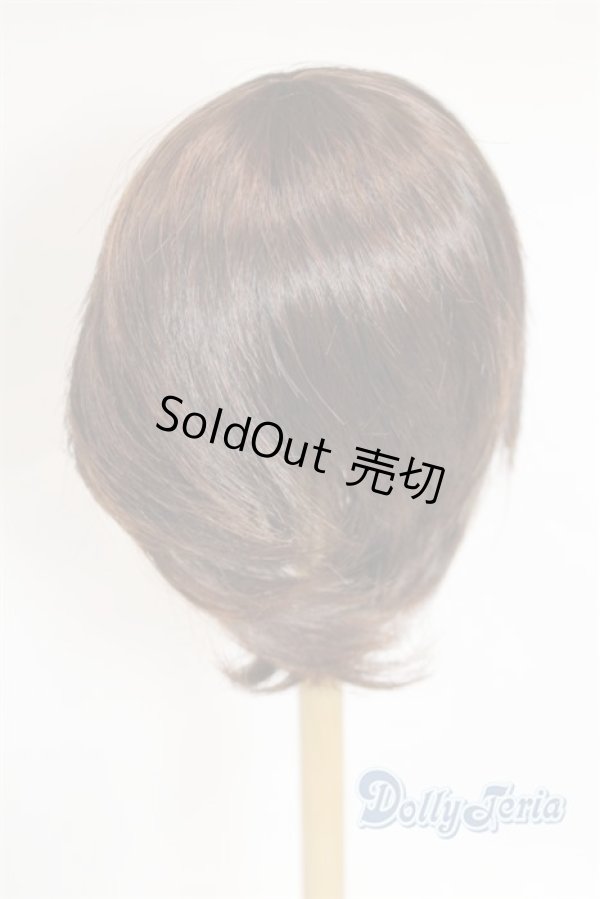 画像2: 8-9inch/ウィッグ U-25-11-19-249-TN-ZU (2)