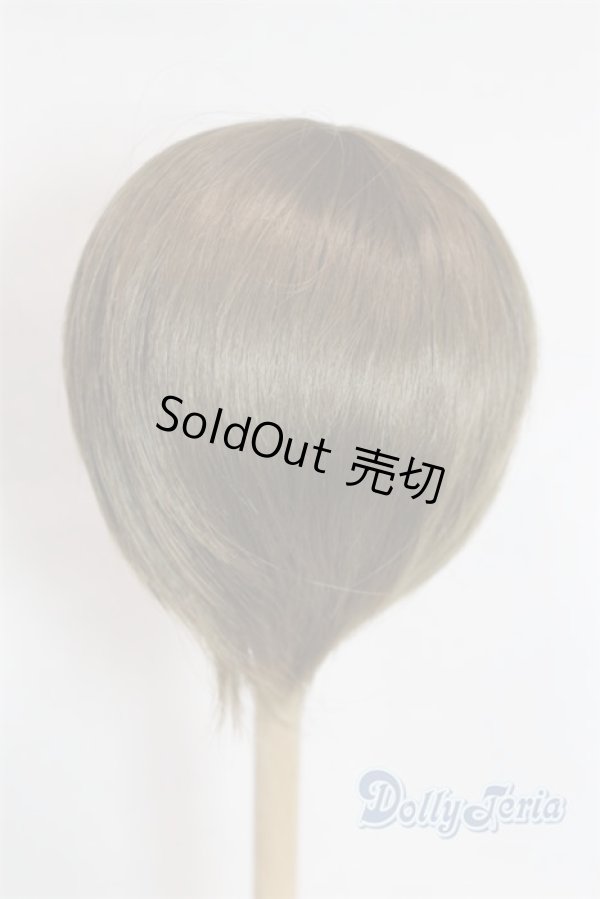 画像2: 8-9inch/ウィッグ U-25-11-19-253-TN-ZU (2)