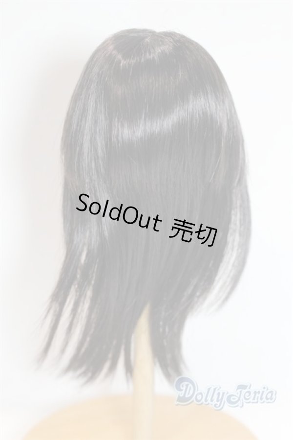 画像2: 6-7inch/ウィッグ U-25-11-19-262-TN-ZU (2)