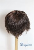 画像2: 6-7inch/ウィッグ U-25-11-19-268-TN-ZU (2)