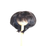 画像: 7-8inch/ウィッグ/ U-26-07-08-274-TN-ZU