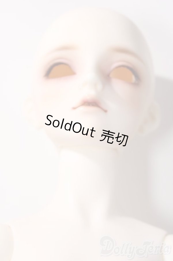 画像7: SD女の子/フルチョイスF-105 U-25-11-19-216-TN-ZU (7)