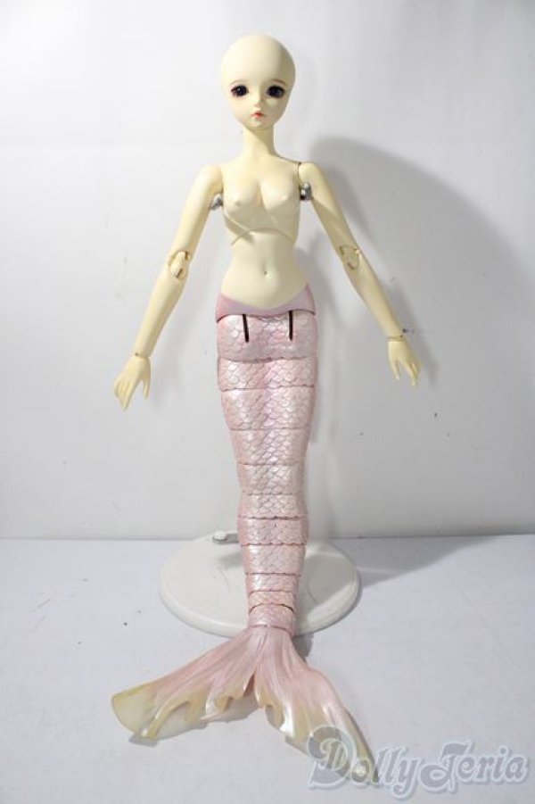 画像4: Asleep　Eidolon/ cordelia A-25-11-19-1092-TN-ZU (4)