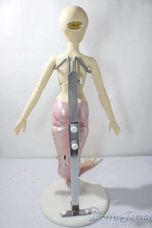 画像5: Asleep　Eidolon/ cordelia A-25-11-19-1092-TN-ZU (5)