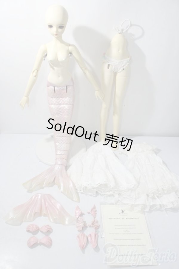 画像8: Asleep　Eidolon/ cordelia A-25-11-19-1092-TN-ZU (8)