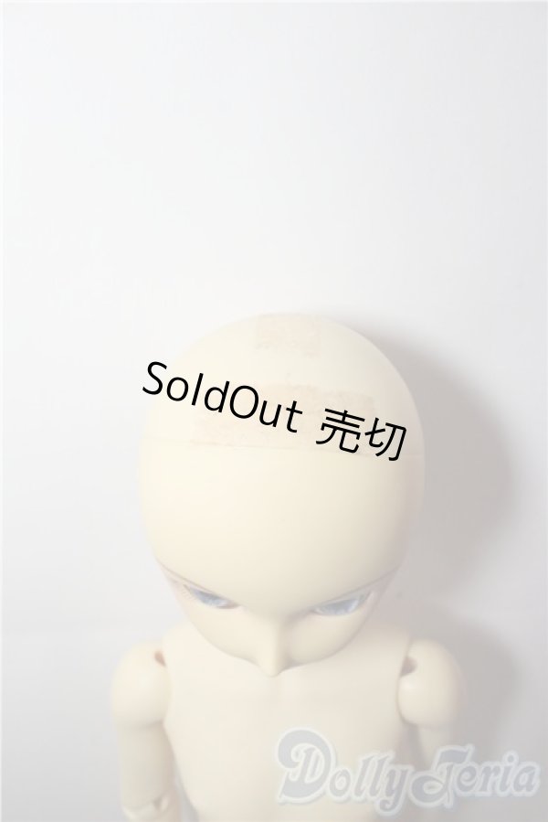 画像7: SD男の子/スタンダード　凌 U-25-11-26-218-TN-ZU (7)