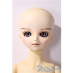 画像: MSD/スタンダードモデル健 U-25-11-26-213-TN-ZU