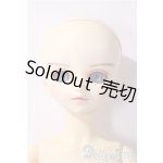 画像: MSD/スタンダードモデル健 U-25-11-26-213-TN-ZU