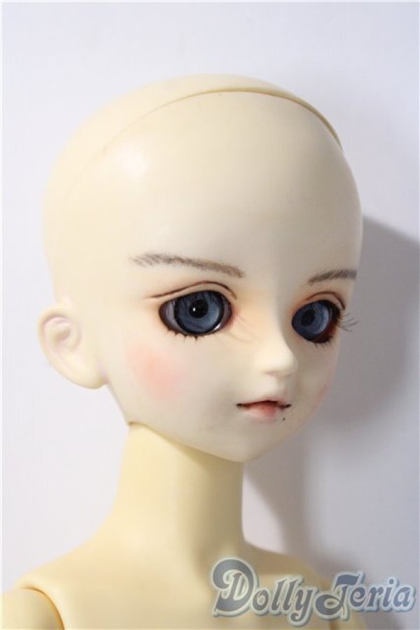 画像3: MSD/スタンダードモデル健 U-25-11-26-213-TN-ZU (3)