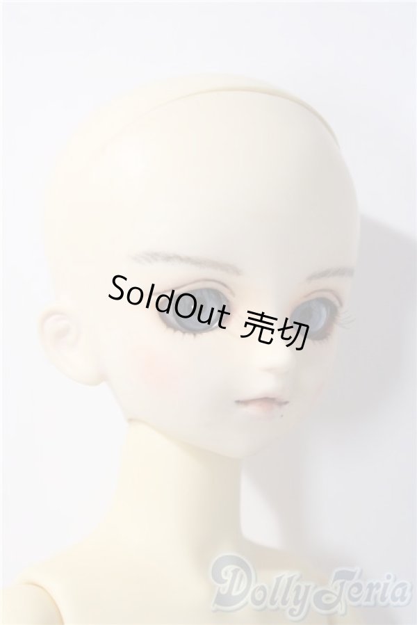 画像3: MSD/スタンダードモデル健 U-25-11-26-213-TN-ZU (3)