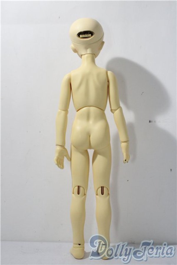 画像5: MSD/スタンダードモデル健 U-25-11-26-213-TN-ZU (5)