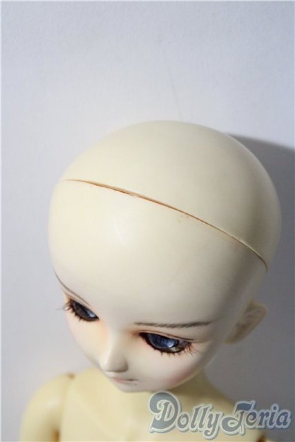 画像6: MSD/スタンダードモデル健 U-25-11-26-213-TN-ZU (6)