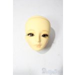 画像: SD/教室Cヘッド U-25-12-03-209-TN-ZU