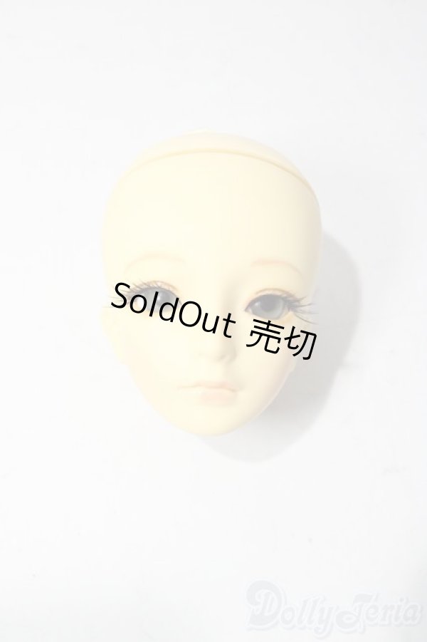 画像1: SD/教室Cヘッド U-25-12-03-209-TN-ZU (1)