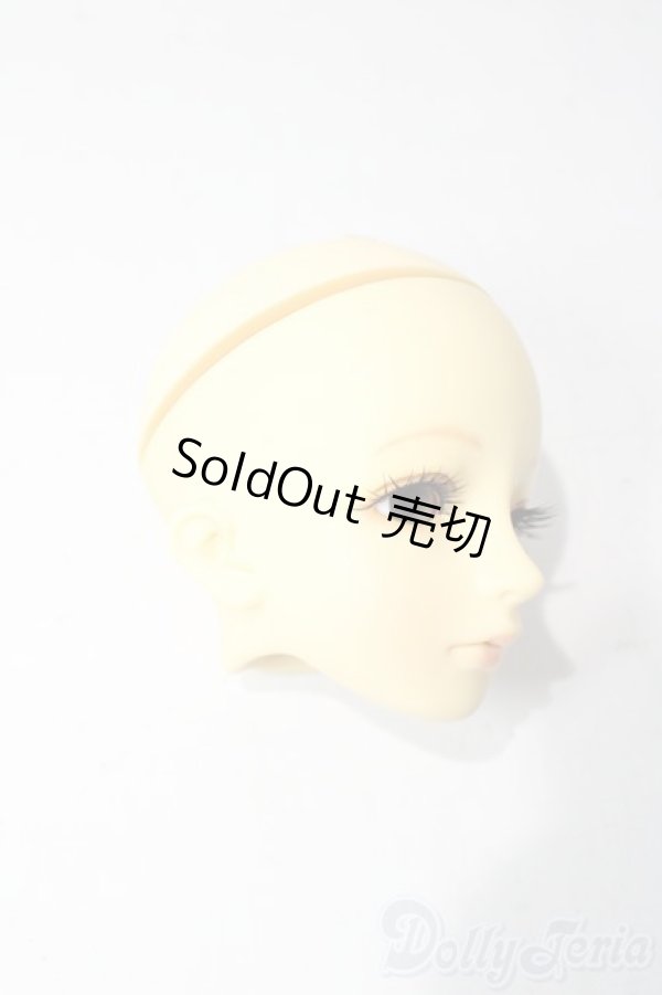 画像3: SD/教室Cヘッド U-25-12-03-209-TN-ZU (3)