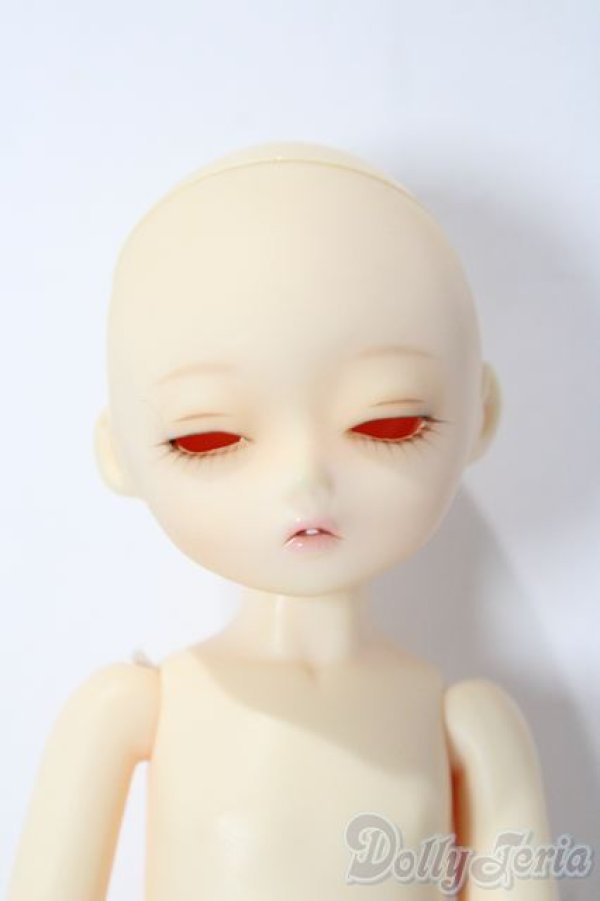 画像1: BLUEFAIRY/PF MAY A-25-12-03-1045-TN-ZU (1)