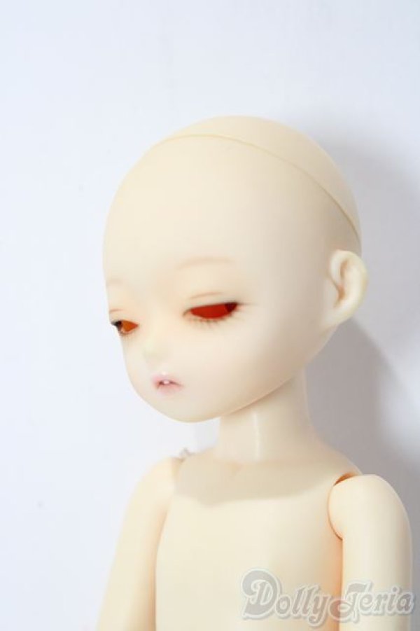 画像2: BLUEFAIRY/PF MAY A-25-12-03-1045-TN-ZU (2)