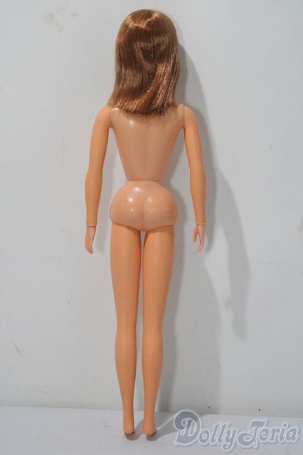 画像3: バービー/TNT バービー A-25-12-03-1089-TN-ZU (3)