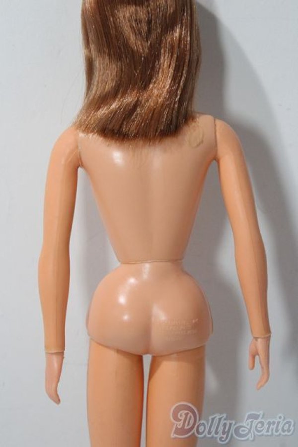 画像4: バービー/TNT バービー A-25-12-03-1089-TN-ZU (4)