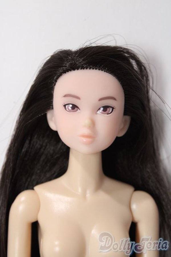 画像1: レディ　スワン A-25-12-03-1086-TN-ZU (1)