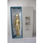 画像: SDM女の子/コーディネートモデルF-45 U-25-12-03-218-TN-ZU