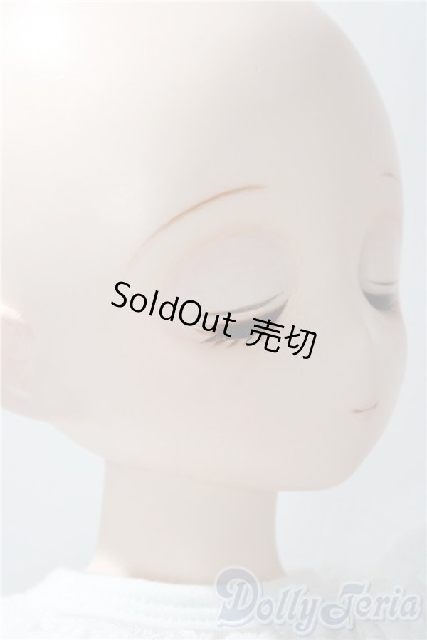 画像3: parabox乙姫 /優花 A-25-11-26-1104-TN-ZU (3)