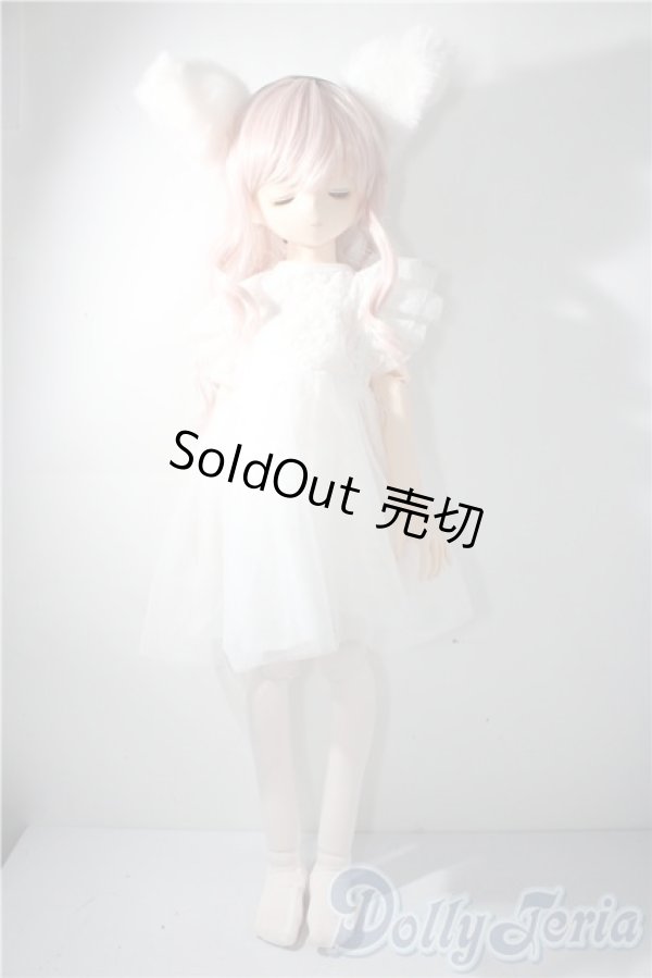 画像5: parabox乙姫 /優花 A-25-11-26-1104-TN-ZU (5)