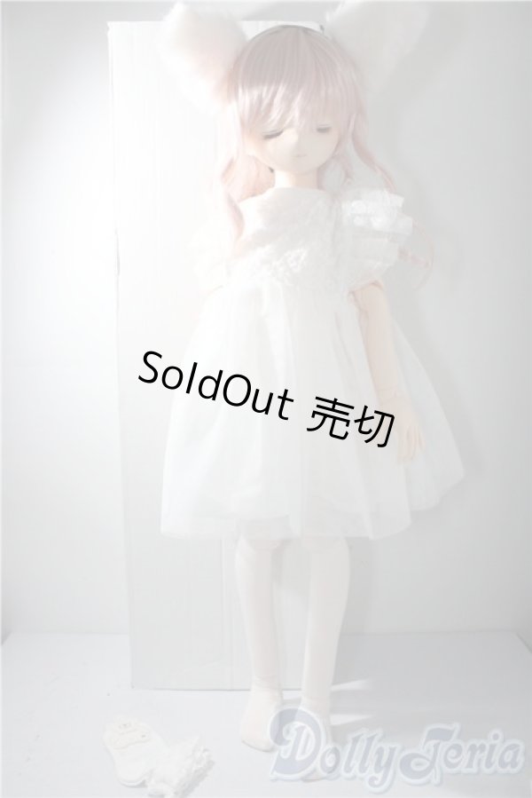 画像7: parabox乙姫 /優花 A-25-11-26-1104-TN-ZU (7)