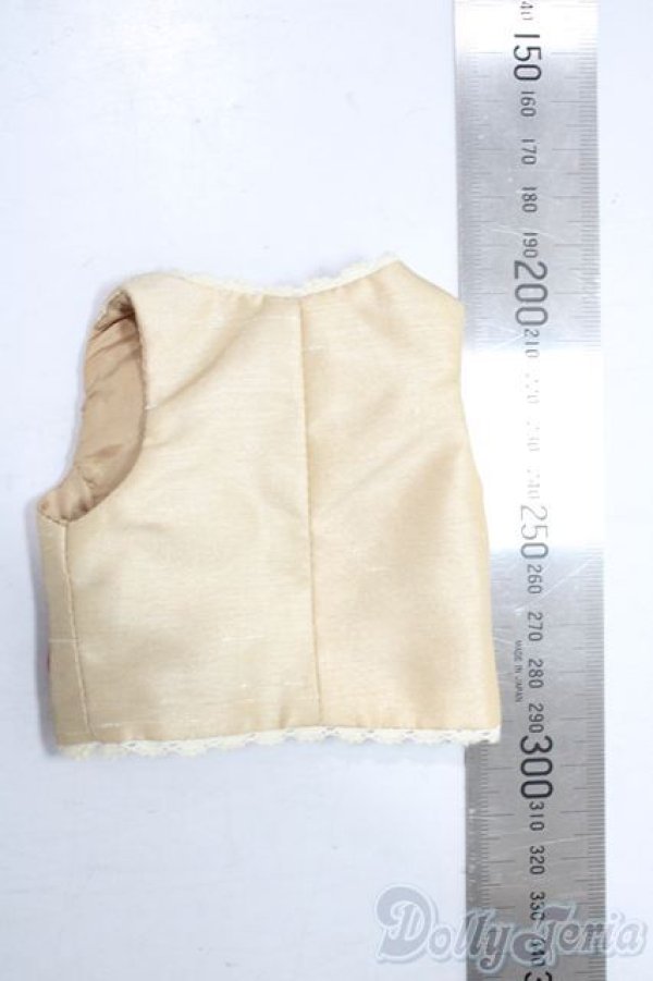 画像2: SDM＆MSD/OF:トップス U-25-12-03-044-TN-ZU (2)