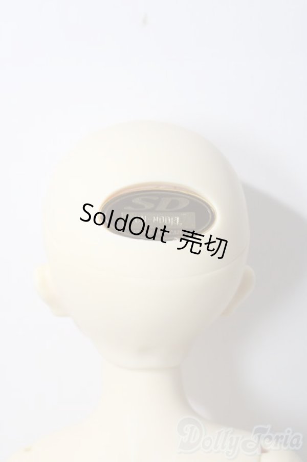 画像7: SDM女の子/F-39　コ-ディネートモデル U-25-12-03-220-TN-ZU (7)