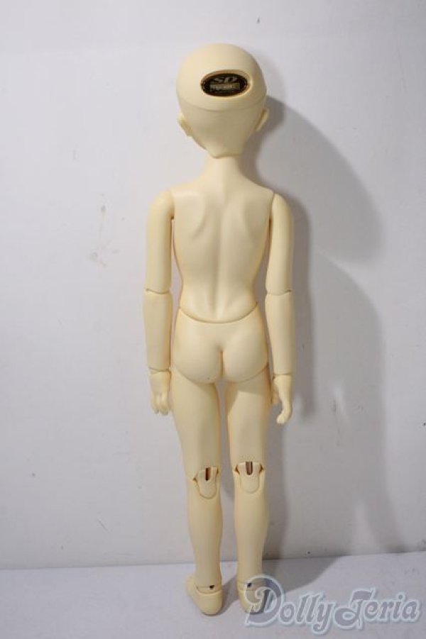 画像3: SDM/コーディネートF-30 U-25-12-03-219-TN-ZU (3)