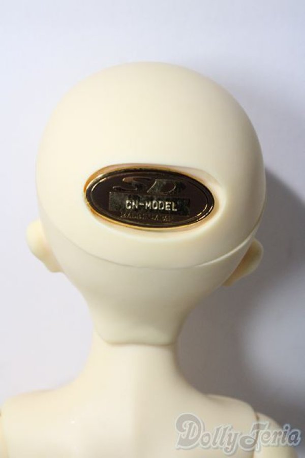 画像7: SDM/コーディネートF-30 U-25-12-03-219-TN-ZU (7)