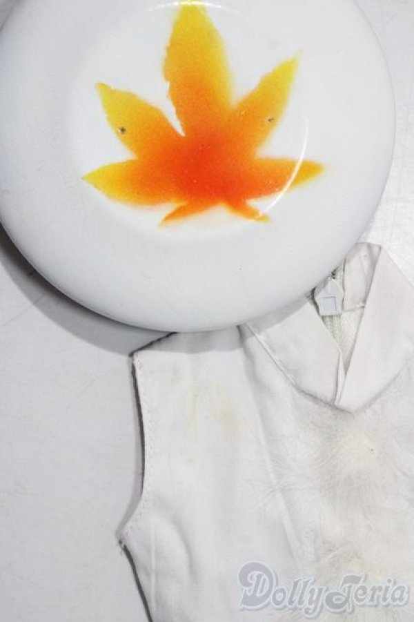 画像3: DD/OF:衣装セット A-25-12-03-1065-TN-ZU (3)