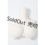 画像: DDdy-B-02上半身パーツ・寄胸 A-25-12-03-1071-TN-ZU