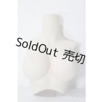 画像: DD/上半身パーツ:L胸 A-25-12-03-1069-TN-ZU