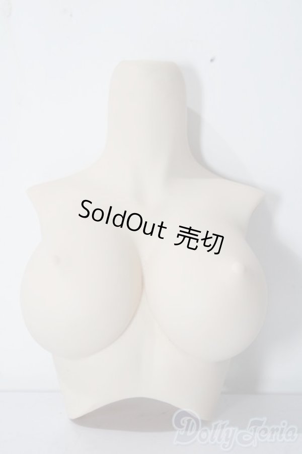 画像1: DD/上半身パーツ:L胸 A-25-12-03-1069-TN-ZU (1)